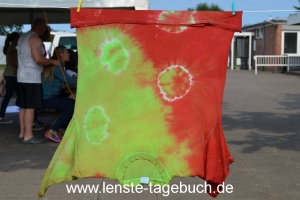 DSC_1119 DSC_1119