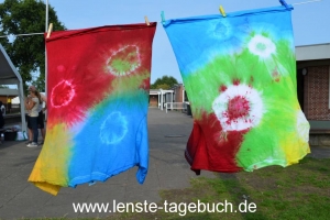 DSC_1124 DSC_1124