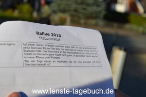 DSC_0915 DSC_0915