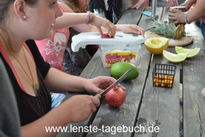 DSC_1141 DSC_1141