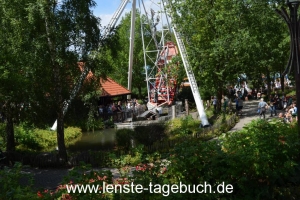 DSC_0262 DSC_0262