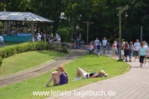 DSC_0272 DSC_0272