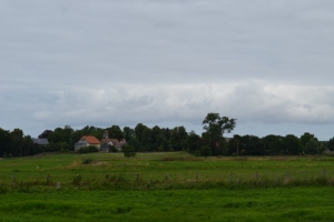 DSC_0294 DSC_0294