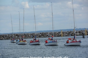 SAM_1041 SAM_1041