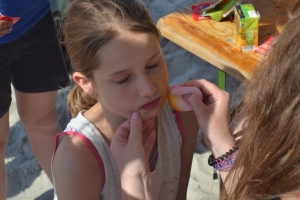 DSC_1006 DSC_1006