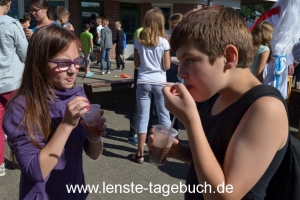 DSC_0520 DSC_0520
