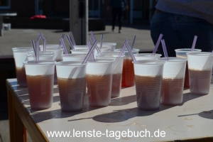 DSC_0535 DSC_0535
