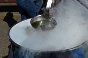 DSC_0542 DSC_0542