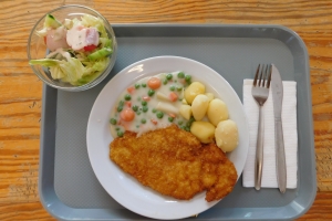 DSCN4807