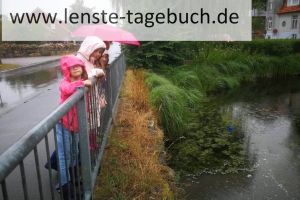 IMG-20190722-WA0010
