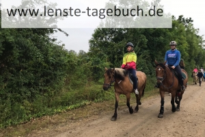 IMG-20190722-WA0019