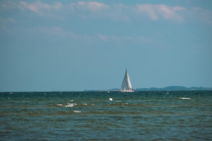 DSC_7269